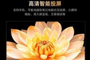乐视电视（性能强大，画质精美，价格实惠，用户评价高）