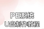 Mac系统下使用U盘进行重装教程（一步步教你在Mac上制作U盘重装系统）