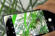 魅蓝e2信号质量评测（深入探究魅蓝e2的信号强度和稳定性）