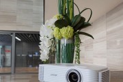 宏基AX313投影仪的性能与特点剖析（高清投影，多功能应用，优质体验）