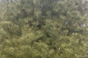 一加3T拍照效果如何？（探究一加3T的摄像头性能及拍照表现）