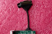 解析Dell电脑IO设备错误的原因与解决方法（探索Dell电脑IO设备错误的根源，助您轻松解决困扰）