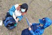 乐2系统（一款高性能、易用且价格亲民的智能手机选择）