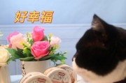 爱诺德手机——性能出众的智能手机选择（一款极致体验的高端手机，值得拥有！）