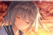 vivorev7.11（全面升级的功能与性能，让你体验前所未有的手机之旅）