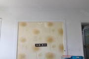 新云东方小型机（开启未来航空时代的关键利器）