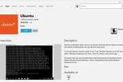 如何安装Win10系统教程图解（图文详解Win10系统的安装步骤及注意事项）