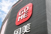 国美电器（探索消费者最满意的家电购物体验）