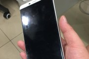 6寸手机的优势与劣势（探索6寸手机的尺寸对用户体验的影响）