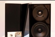 探讨U4耳放的音质表现和性能特点（深入解析U4耳放的声音细节和技术规格）