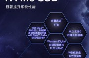 以西部数据如何有效清除密码？（密码保护的重要性及清除密码的步骤）