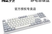 探索Plum键盘的独特魅力（体验Plum键盘带来的高效舒适打字体验）