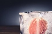 脑细胞死亡对身体的影响（神经退化与认知能力的逐渐丧失）