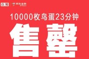 电脑菜鸟的系统重装教程（手把手教你重装电脑系统，轻松应对各种问题）