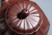 探索以ons水仙的魅力（发现新品种、繁育技巧、人工交配的突破）