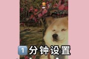 苹果手机全屏显示的魅力（苹果手机全面屏设计的创新与优势）