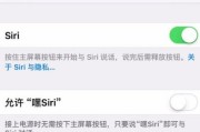 苹果更改名称的影响（从“苹果”到“水果之王”的转变）