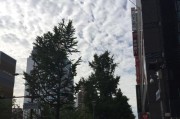 日版苹果7手机优势与特点（细节追求，全面升级的日版苹果7手机）