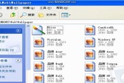U盘版XP系统安装教程（详细步骤让你轻松安装系统）