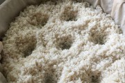 水泡大米的变化及影响（探究大米被水泡后的改变及其对食用和烹饪的影响）